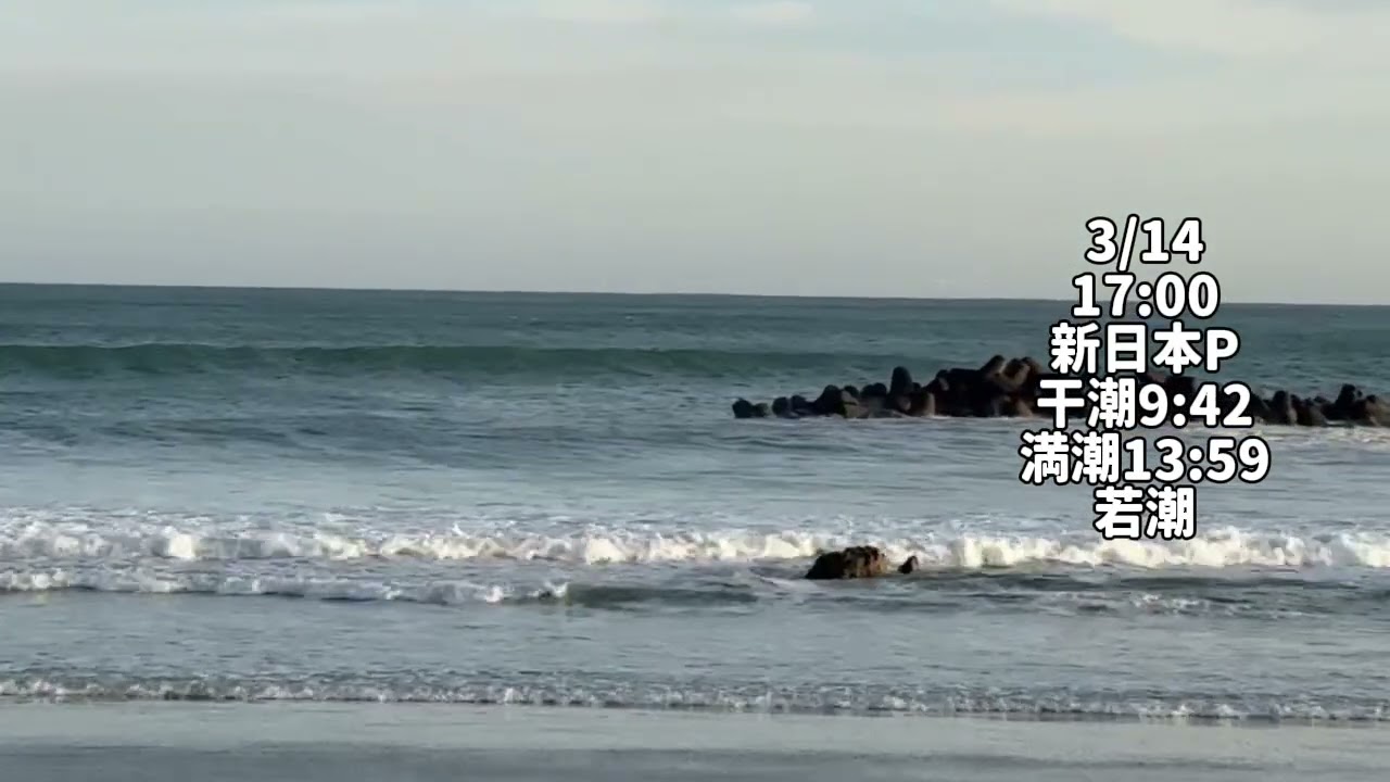 3/14 17:00 新日本P【伊良湖波情報】2026年