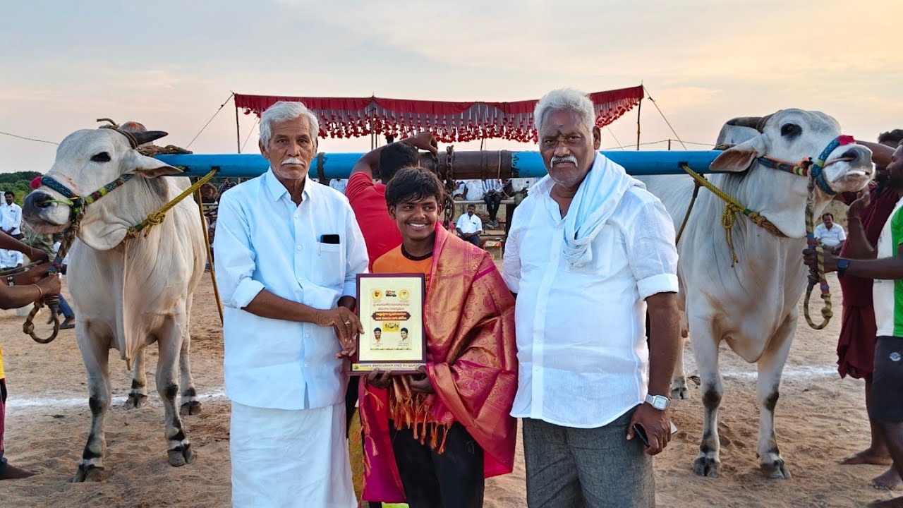 2026-ఆలూరు.సీనియర్స్.🥇🏆.6వ జత.MVSR BULLS మార్తల వెంకట సుబ్బారెడ్డి  రంగసాయపల్లి (దక్ష డాన్) గిత్తలు