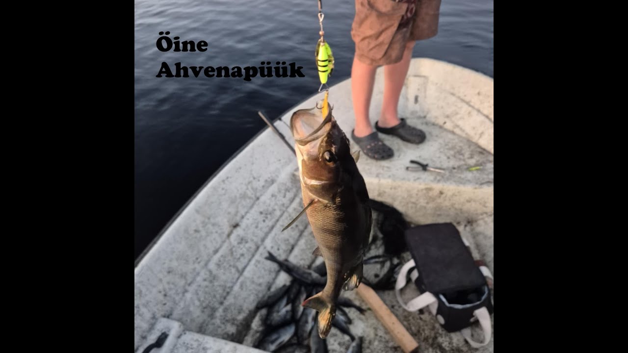 Sugulasega öisel ahvenapüügil