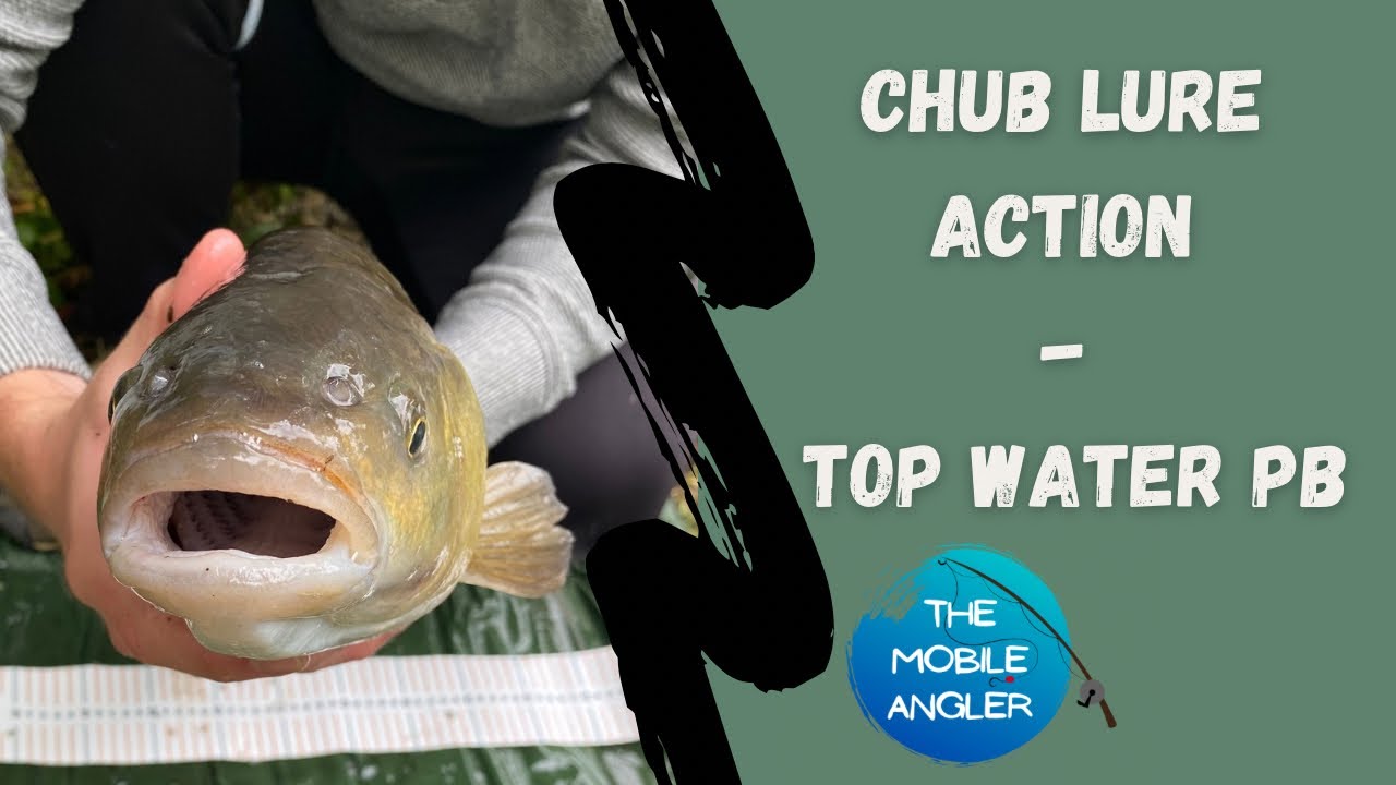 CHUB - Smashing the lures and my PB!