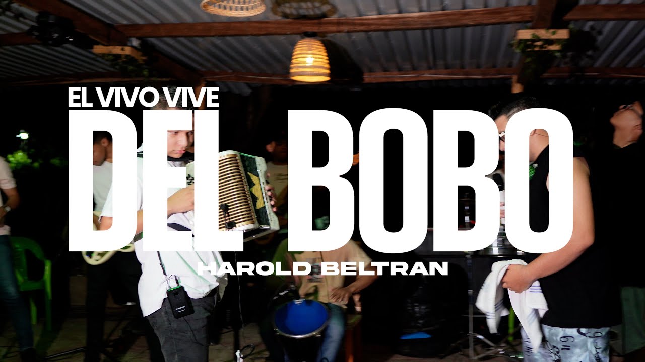 VIVO VIVE DEL BOBO (live) HAROLD BELTRÁN - PIPE MAESTRE