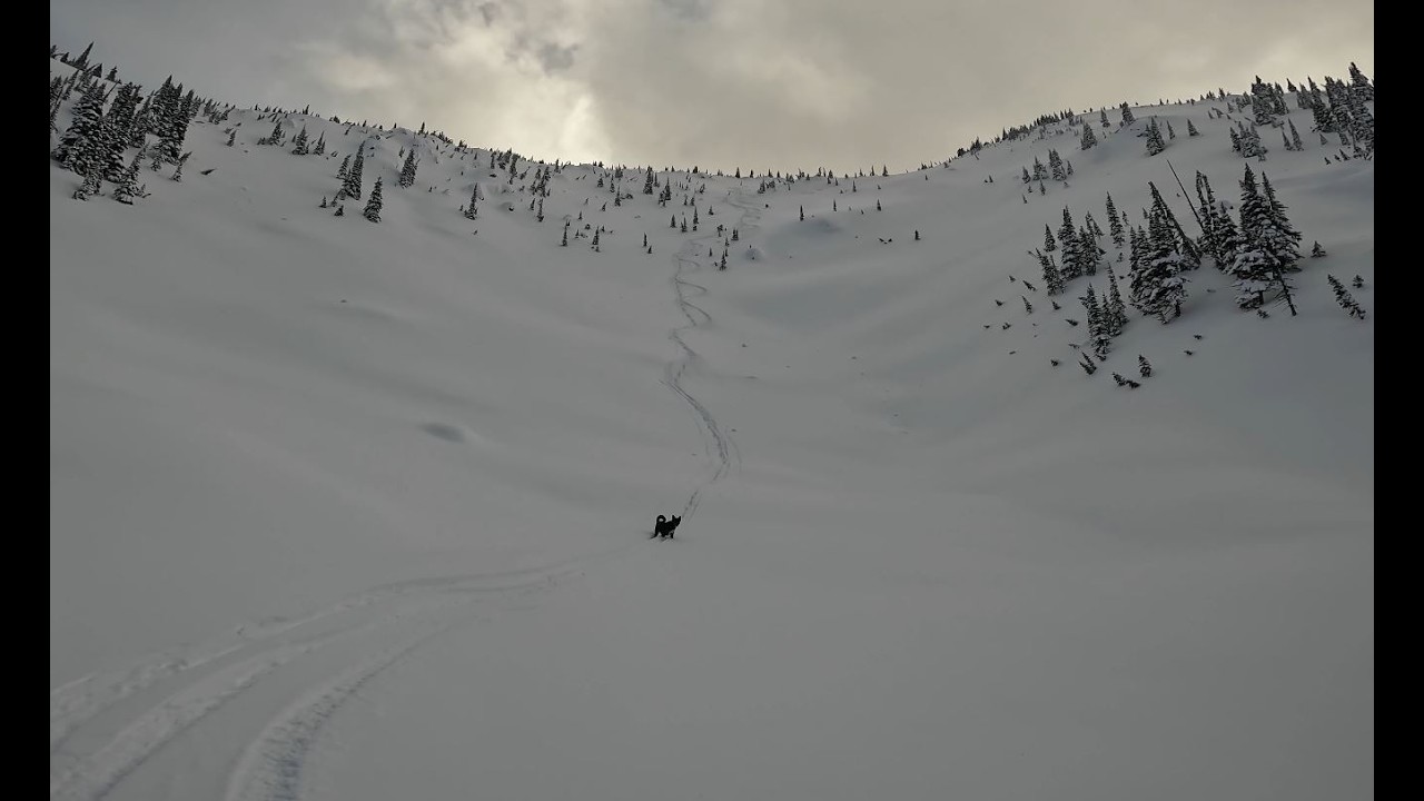 Cariboo Mountain February 2026