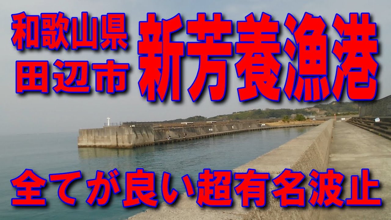 #167和歌山県新芳養漁港全てが良い超有名波止左側見草みはらしパーキング国道42号南紀白浜IC紀勢自動車道無料区間道の駅くちくまの南紀田辺IC無料区間きれいな漁港安全な釣り場規模の大きい釣りに最適漁港