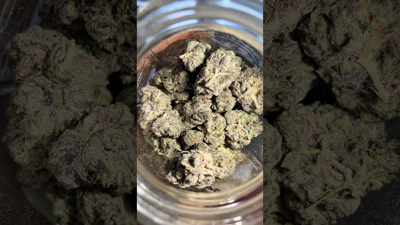 Boston George From J Littys😳😮&zwj;💨 #explorepage #review #420 #zaza #fypシ #viral #fypシ゚viral #jlittys