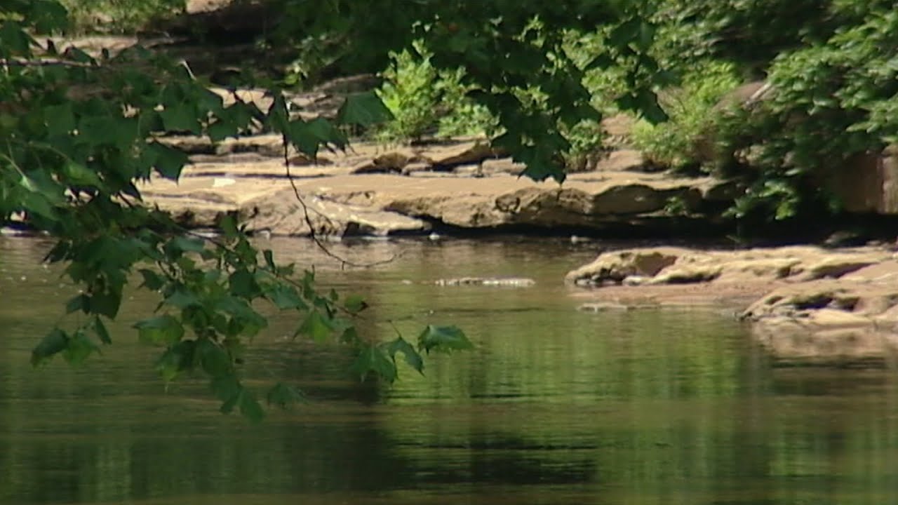 Wild SideTV-The Obey River