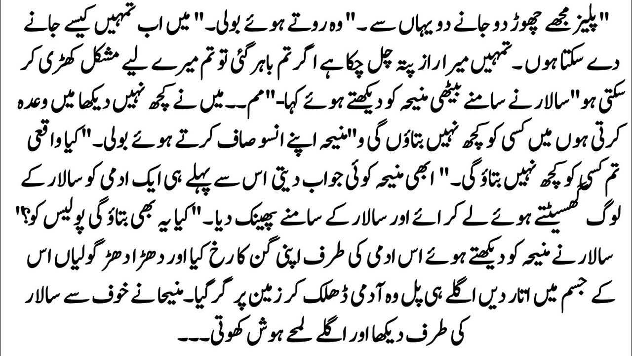 Urdu Novel