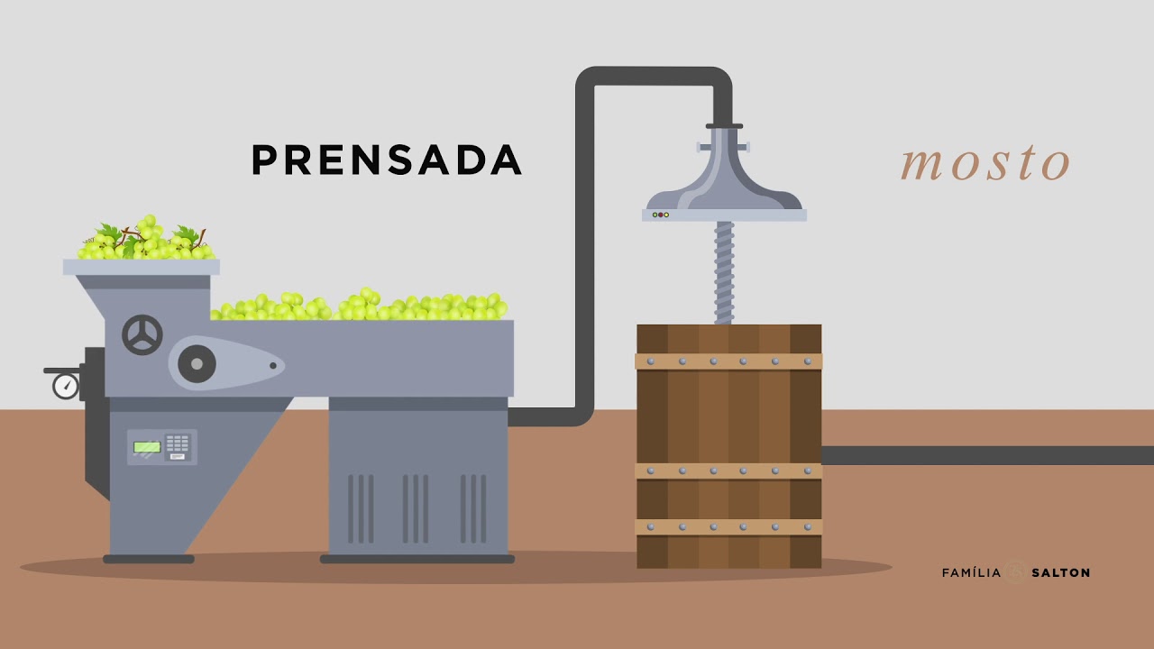 Como se elabora um vinho branco - Desvendando o Universo dos Vinhos #4