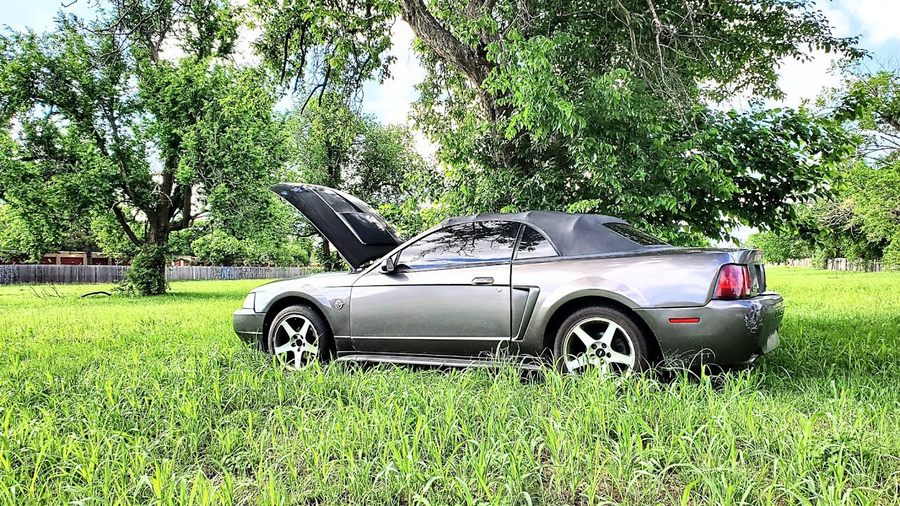 Will This Abandoned 2004 Mustang GT Run And Drive?