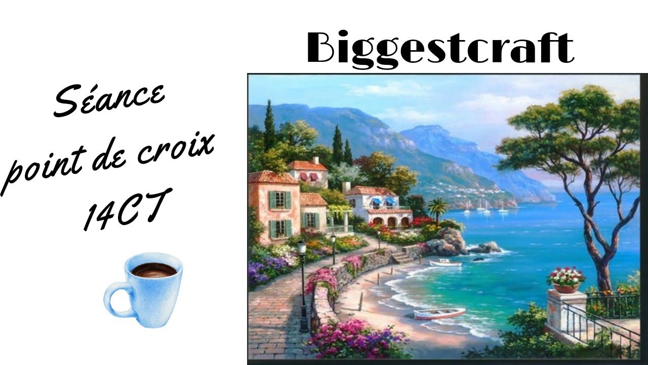 Séance point de croix 14CT #biggestcraft #blabla #pointdecroix  #crossstitch #loisirscreatifs