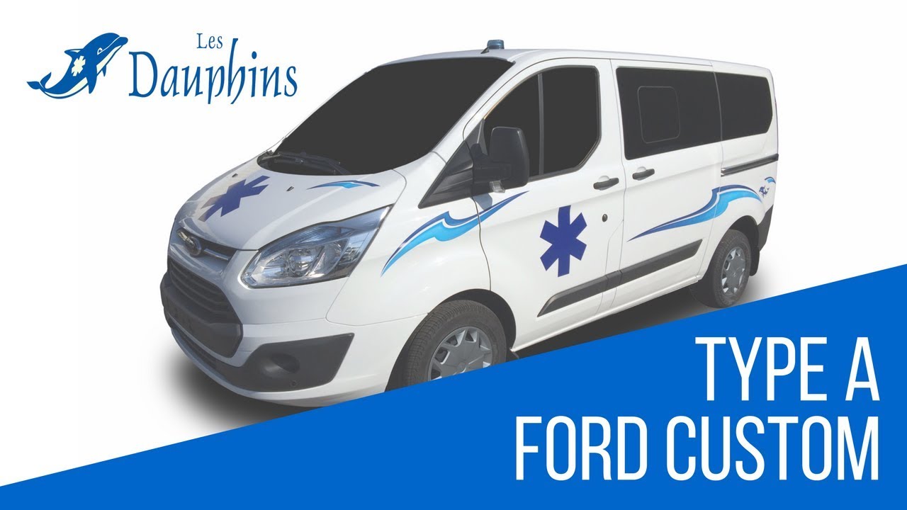 Les Dauphins, Présentation Ford Custom Type A