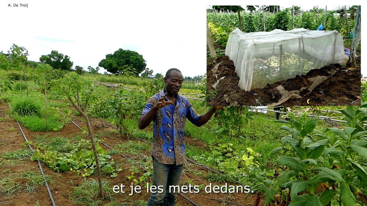 Projet TAMCI – Le contrôle de la mouche des fruits