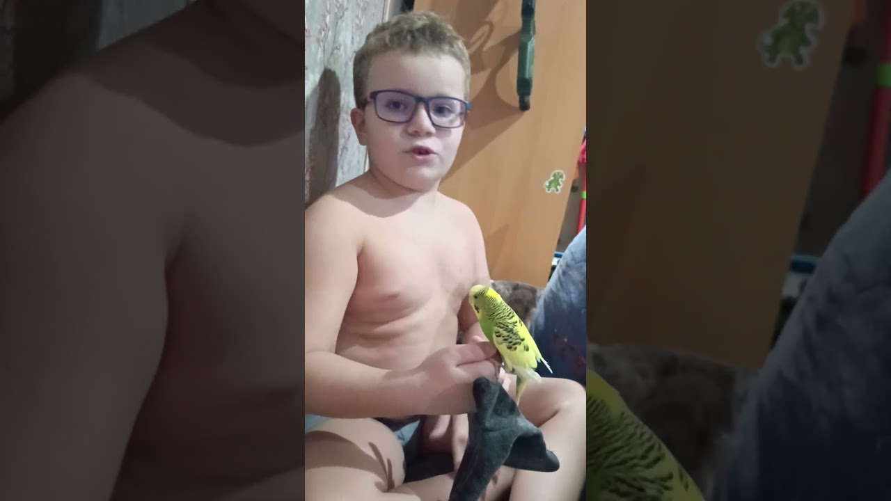 Грустная история с голубем!((