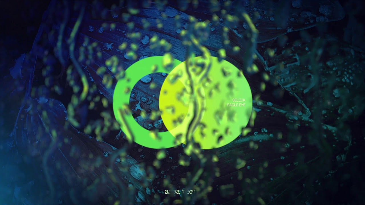 Seleck - Eagle Eye (Original Mix) [AREA VERDE] // Progressive House Premiere