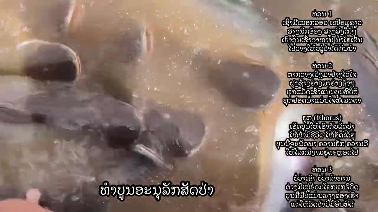 ທຳບູນອະນຸລັກສັດປ່າ