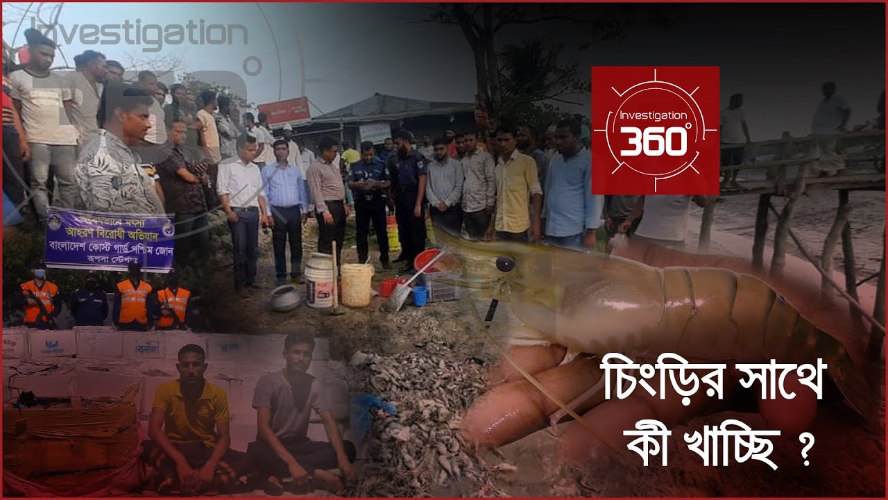 চিংড়ির সাথে কী খাচ্ছি? | Investigation 360 Degree | EP 316