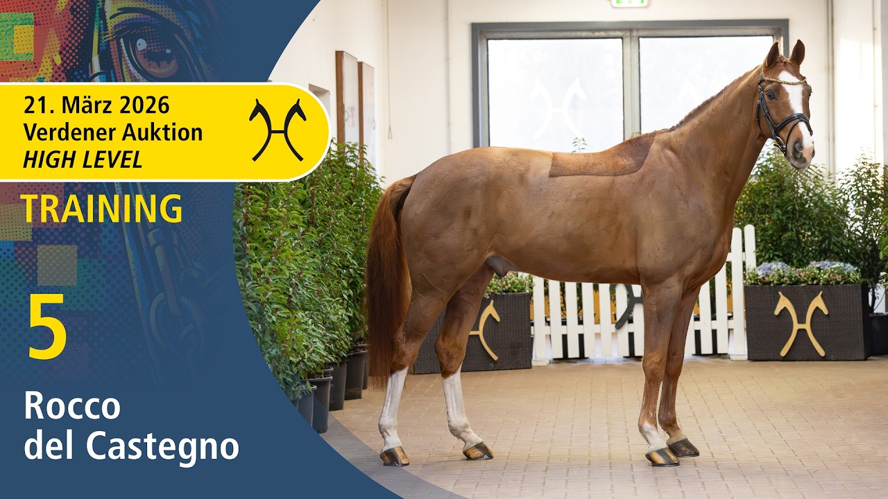 No. 5 Rocco del Castegno by Fiorano - Lauries Crusador xx | High Level Auction - OnLive - March, 21