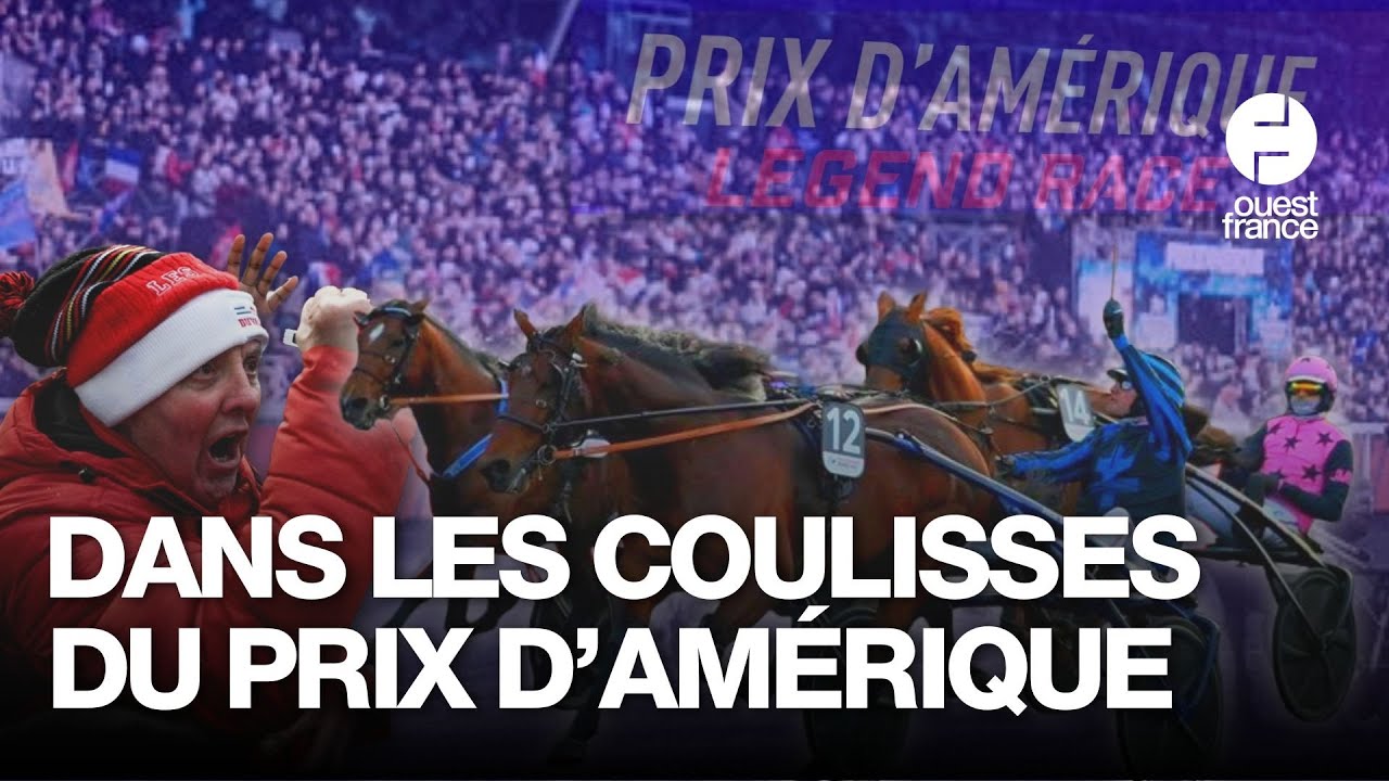 Écuries, Gims, grands parieurs... Dans les coulisses du Prix d'Amérique, heure par heure
