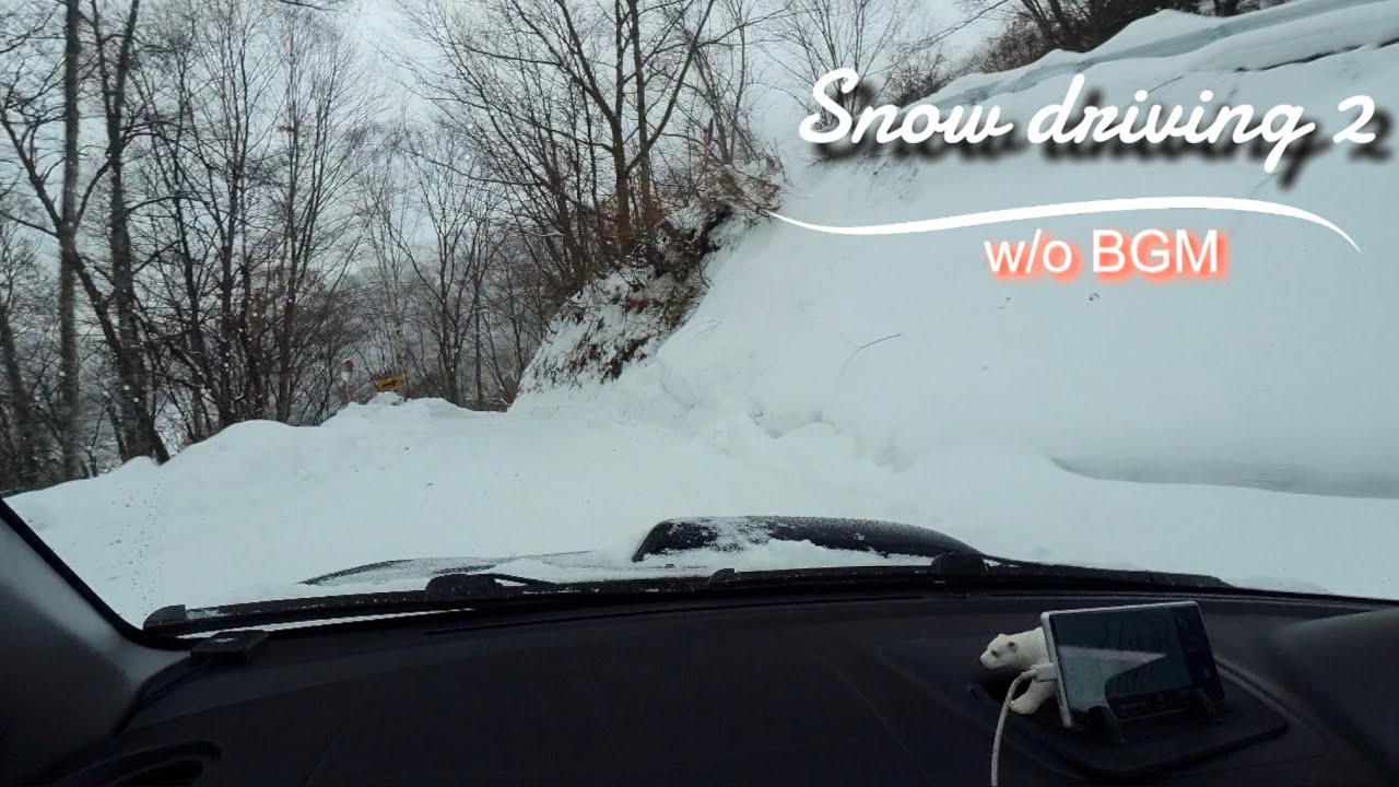 【2025.12.31撮】中の湯温泉からの帰り道（BGM無し）。#雪道走行#雪景色#ぬい活#drivingjapan #scenicdrive #nature