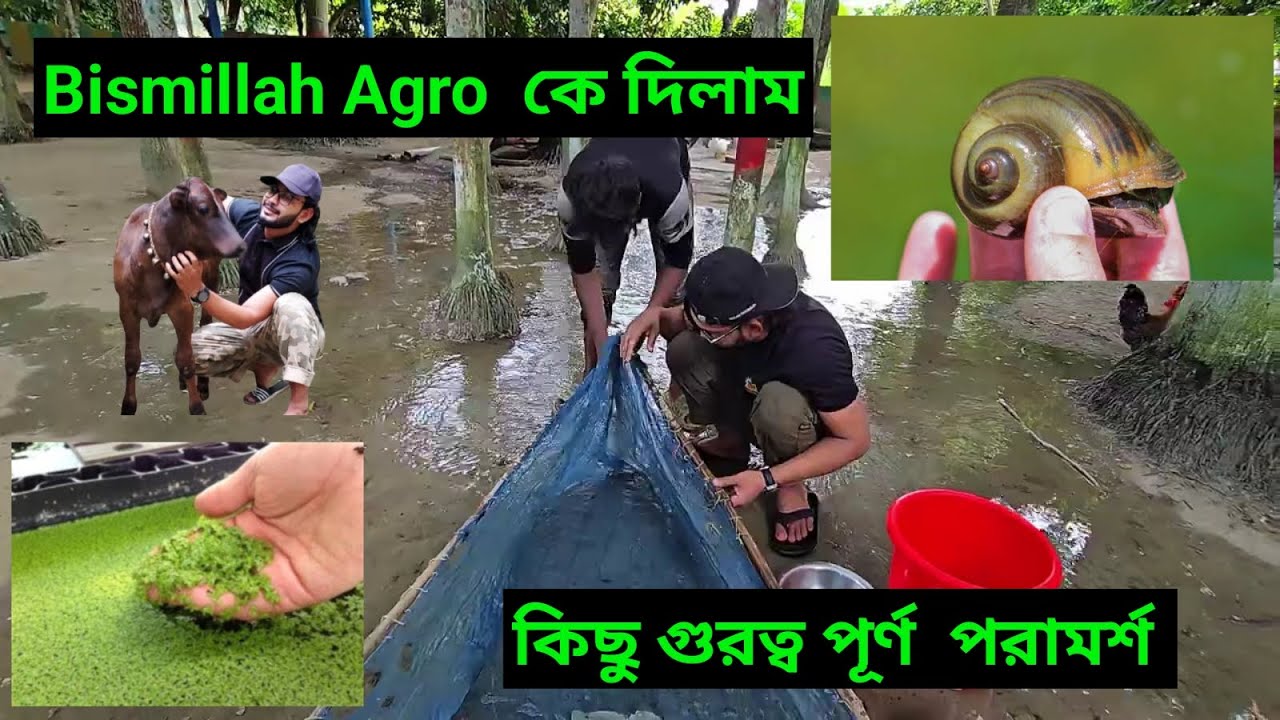 Bismillah Agro  কে দিলাম কিছু খুবই গুরুত্বপূর্ণ পরামর্শ @bismillahagro