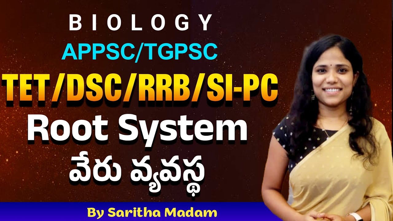 Groups/TET/DSC/RRB/ SI-PC Root System/ వేరు వ్యవస్థ Plant Morphology By Saritha madam