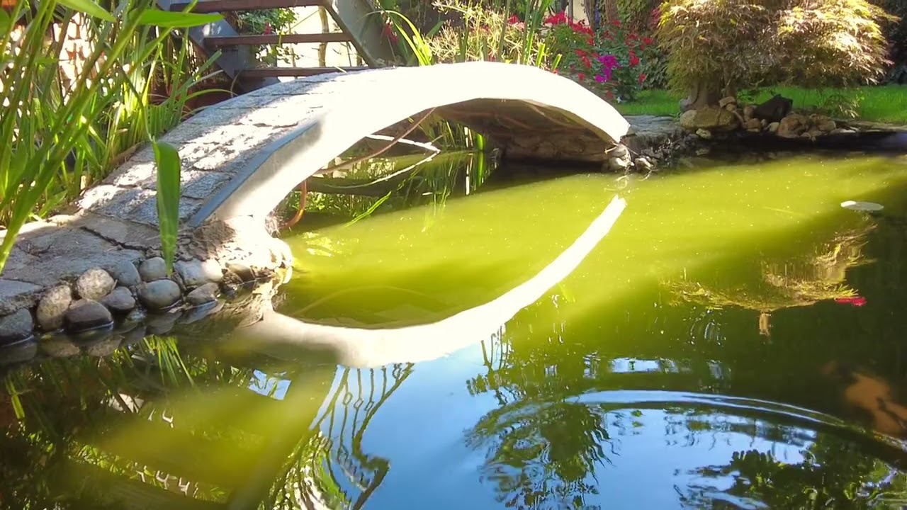 Little Lovely Garden in Zirndorf, Bavaria, Germany