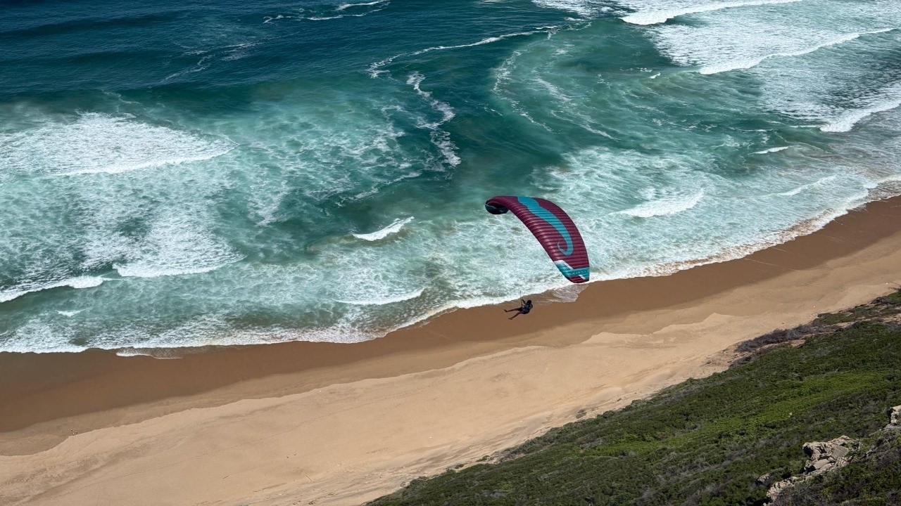 South African Wilderness Mustache