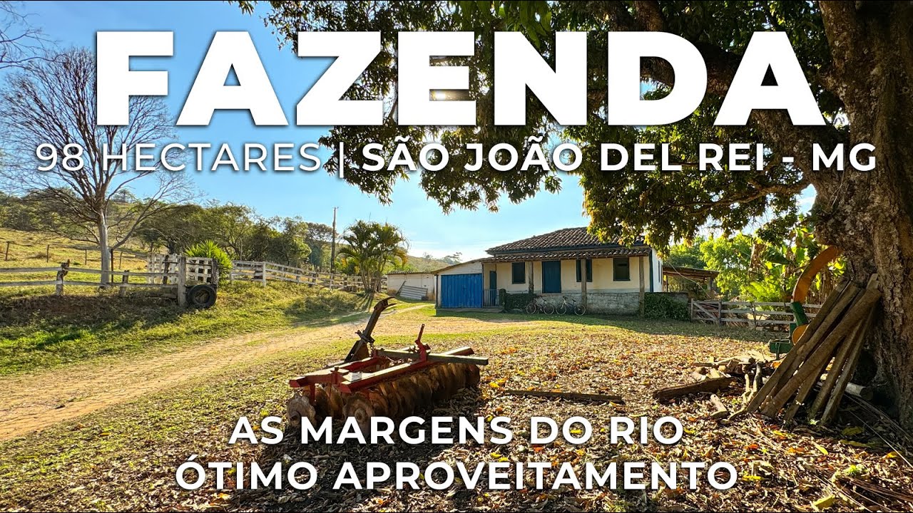 FAZENDA 98 HECTARES, PECUÁRIA, PASTO FORMADO, MARGEADA POR RIO