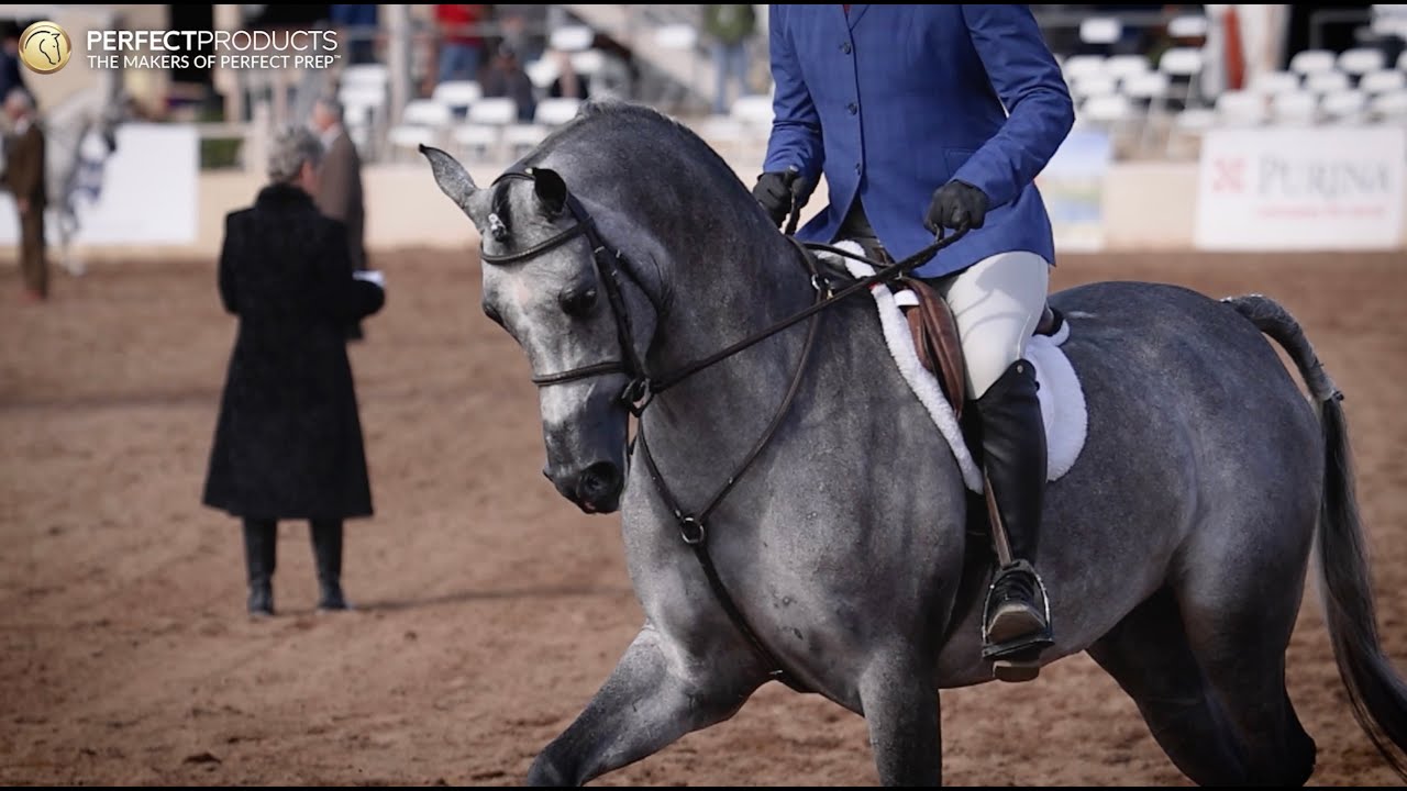 Perfect Products Commercial - Scottsdale Arabian Horse Show 2026