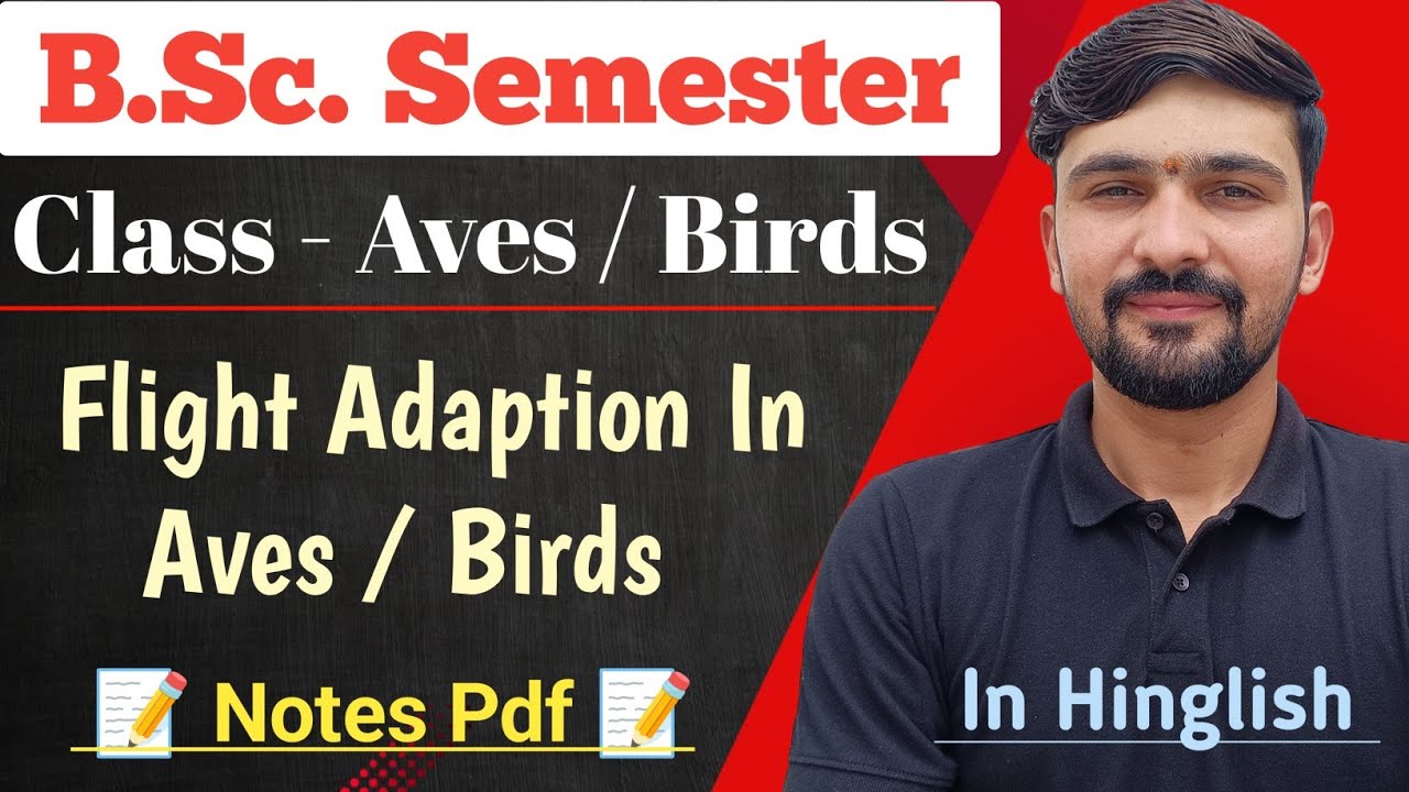 Flight Adaption In Aves (Birds) Hindi | BSc Semester || By Dadhich Sir