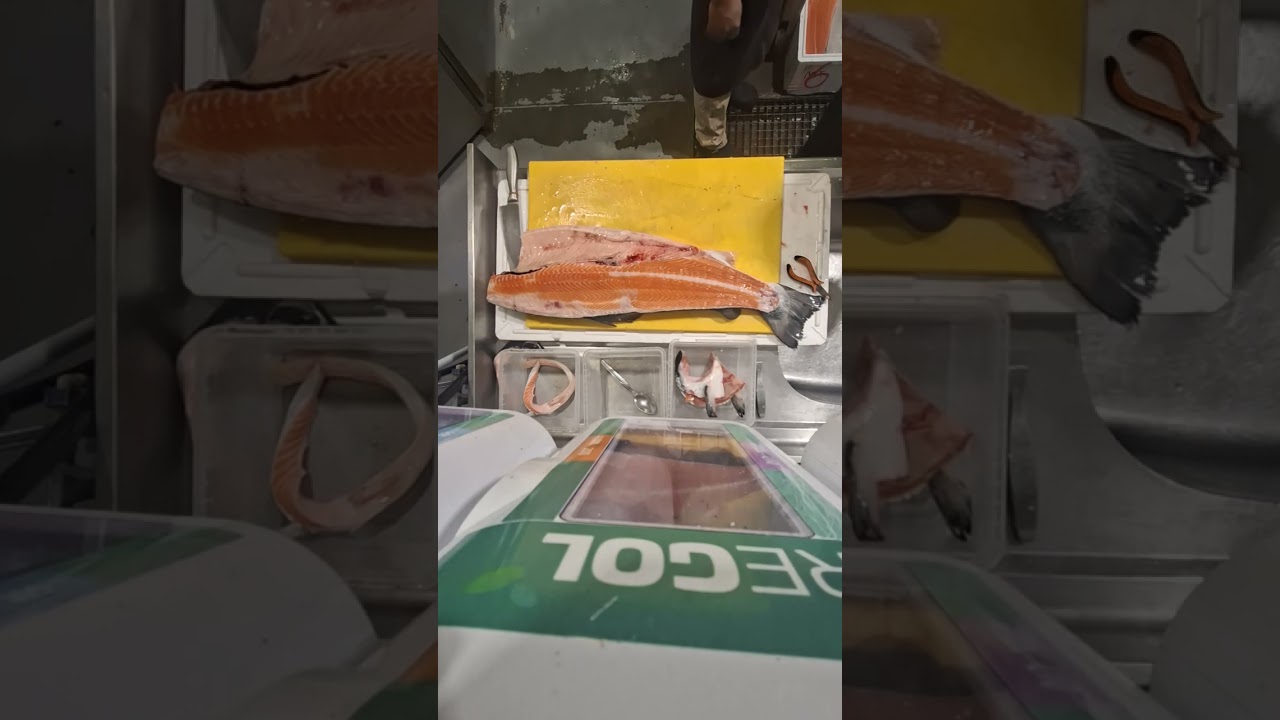 Learning Salmon cutting skills