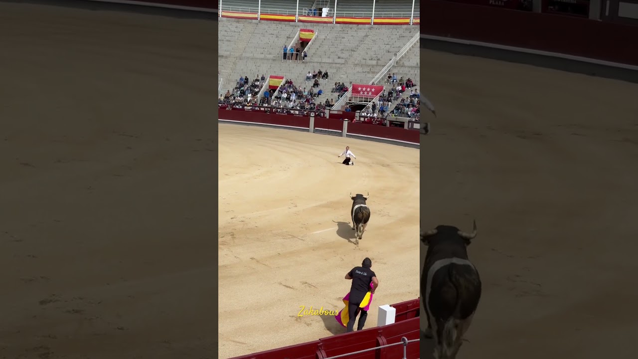 El peque de rodillas &ldquo; plaza de toros las ventas madrid&rdquo; 2024