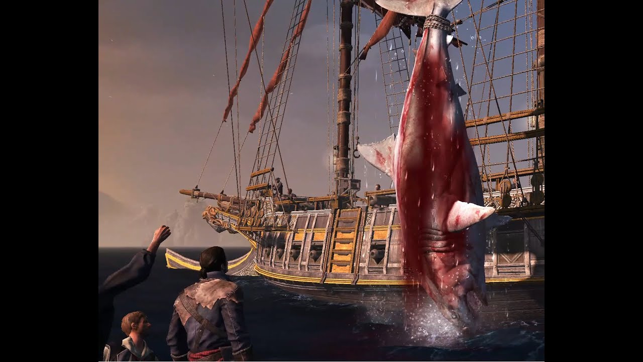 Assassin's Creed Rogue: HUNTING A GREAT WHITE SHARK
