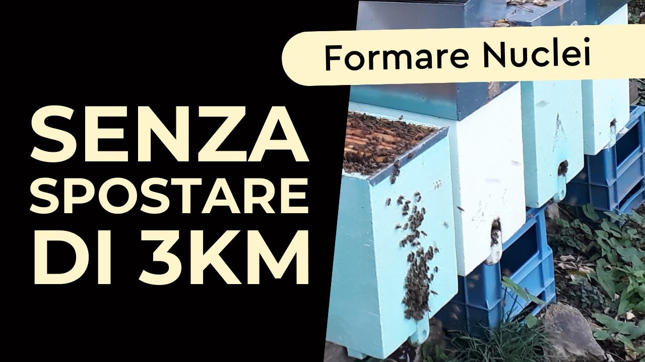 Scopri Come Creare Nuclei TOP Senza Spostarli di 3km!