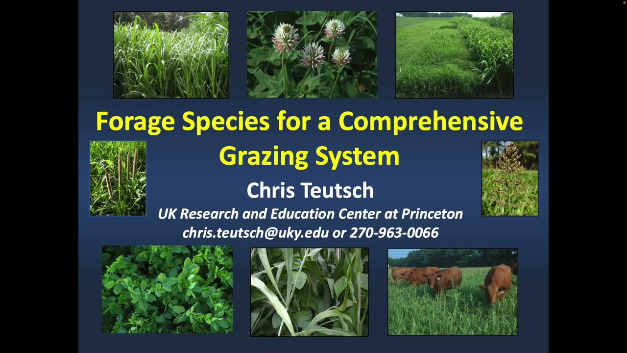 Forage species for a comprehensive grazing system-Chris Teutsch