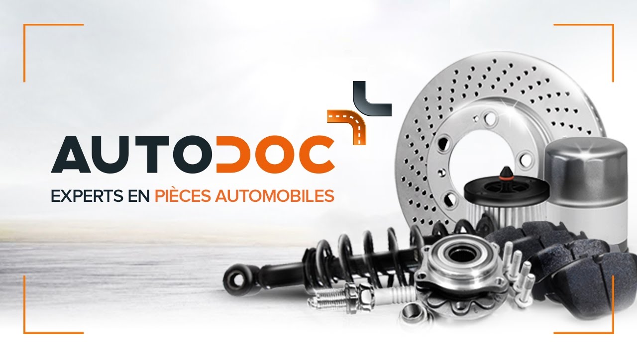 AUTODOC &mdash; VENTE DE PI&Egrave;CES AUTO AVEC PLUS DE 1 200 000 DE PI&Egrave;CES D&Eacute;TACH&Eacute;ES PAS CHER