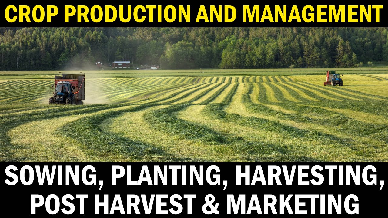 Agriculture Crop Production and Management - Sowing, Planting, Harvesting, Post Harvest & Marketing