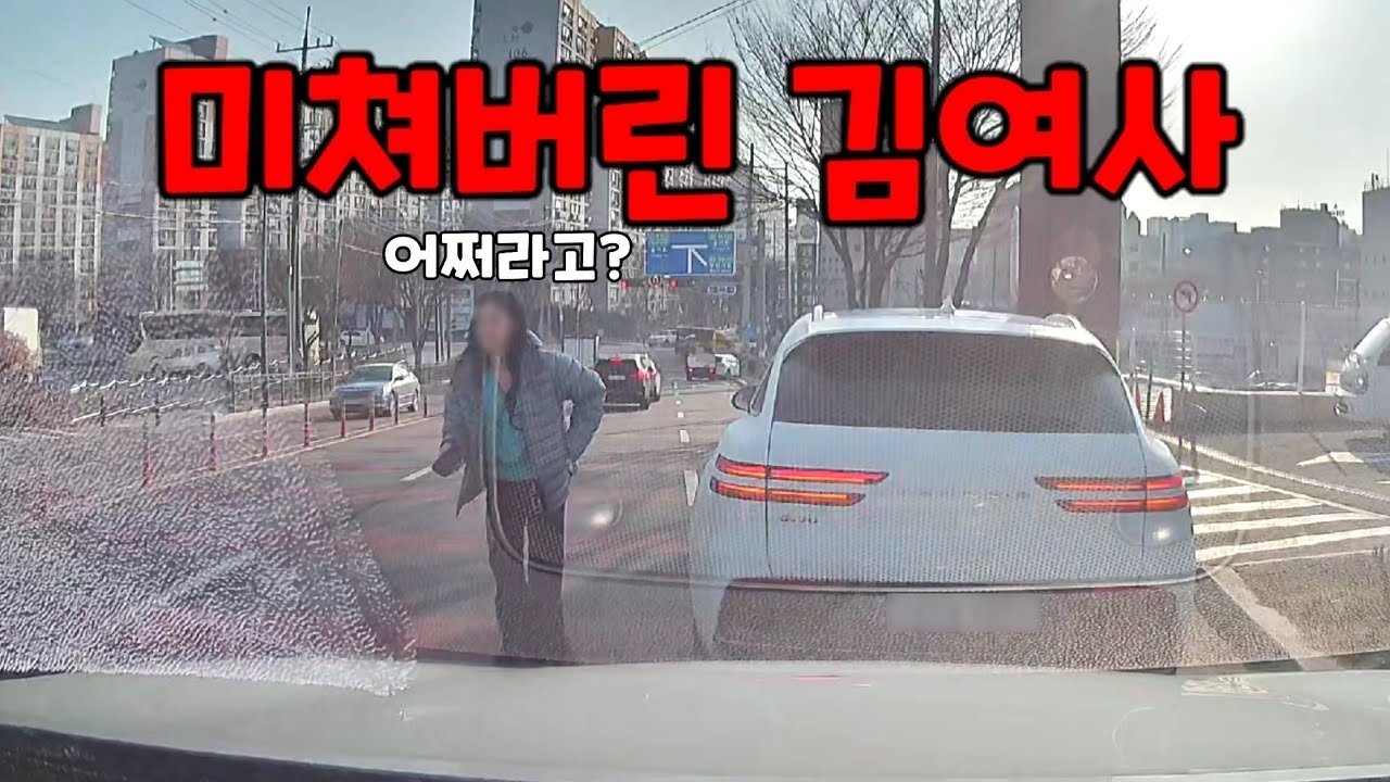 눈으로 욕하고 당당하게 무단횡단 김여사......도참시 블랙박스 : 2026 최신블박영상