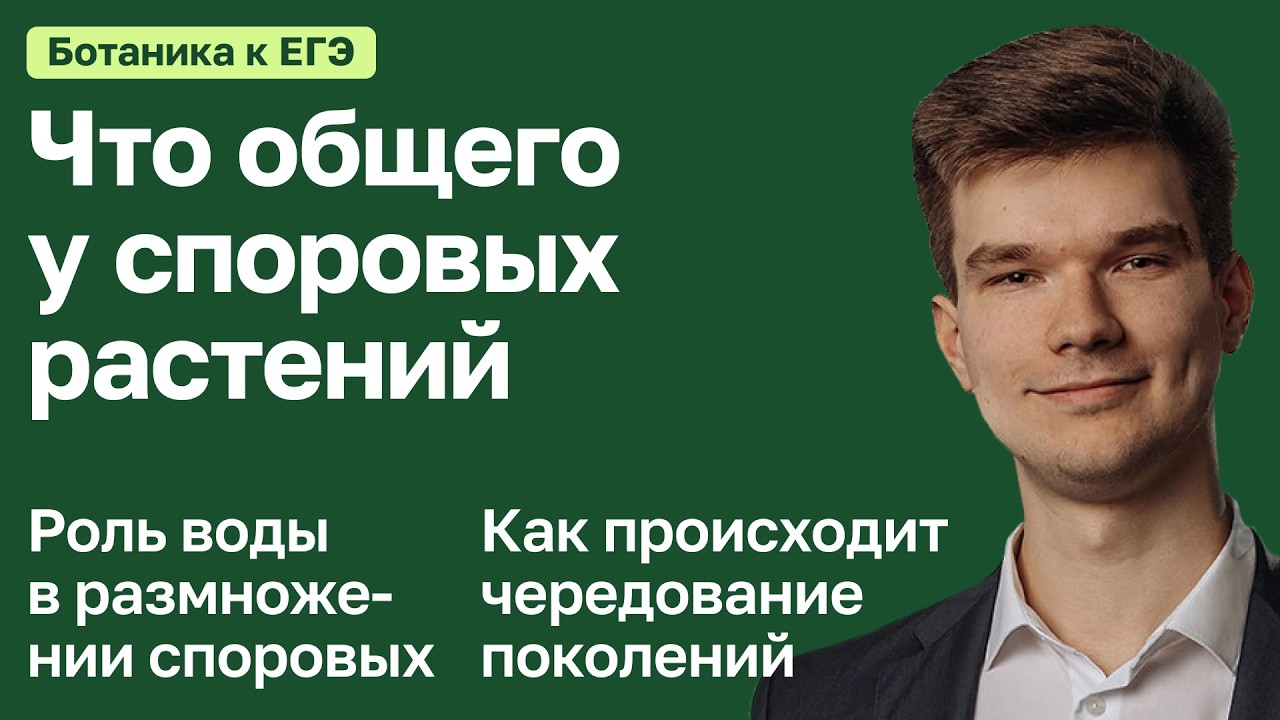7.37. Общие характеристики споровых растений | Ботаника к ЕГЭ | Георгий Мишуровский