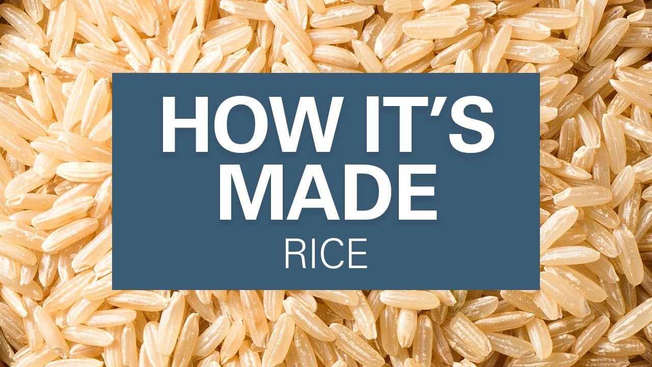 How Rice is Made | What Are The Types of Rice?