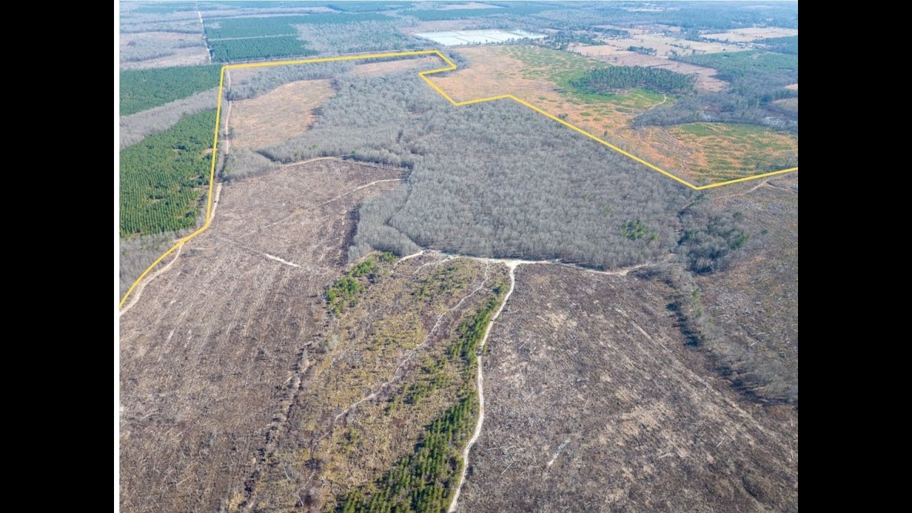 660 acres | Highway 37 | Red River Co., Texas
