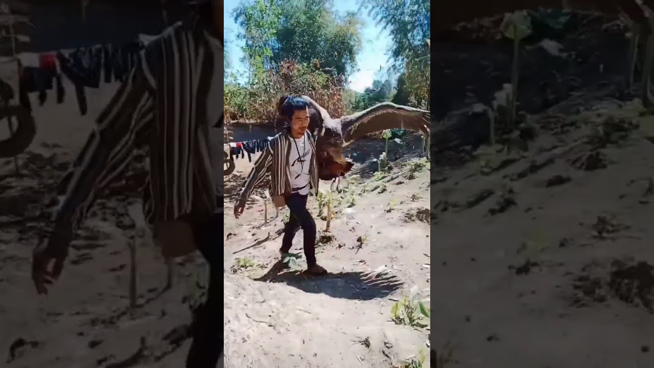 ❤️🦤❤️