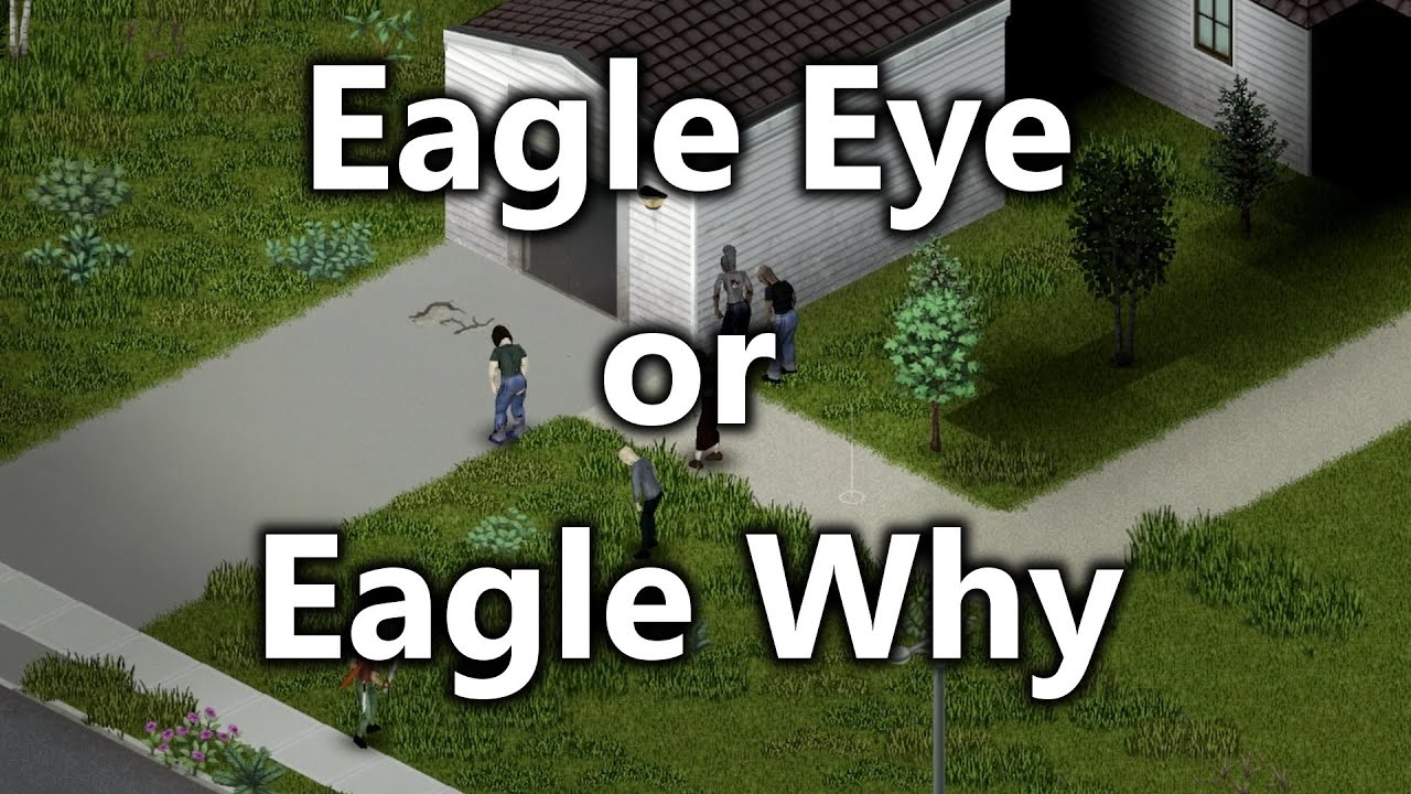 Does Eagle Eye Do Anything?