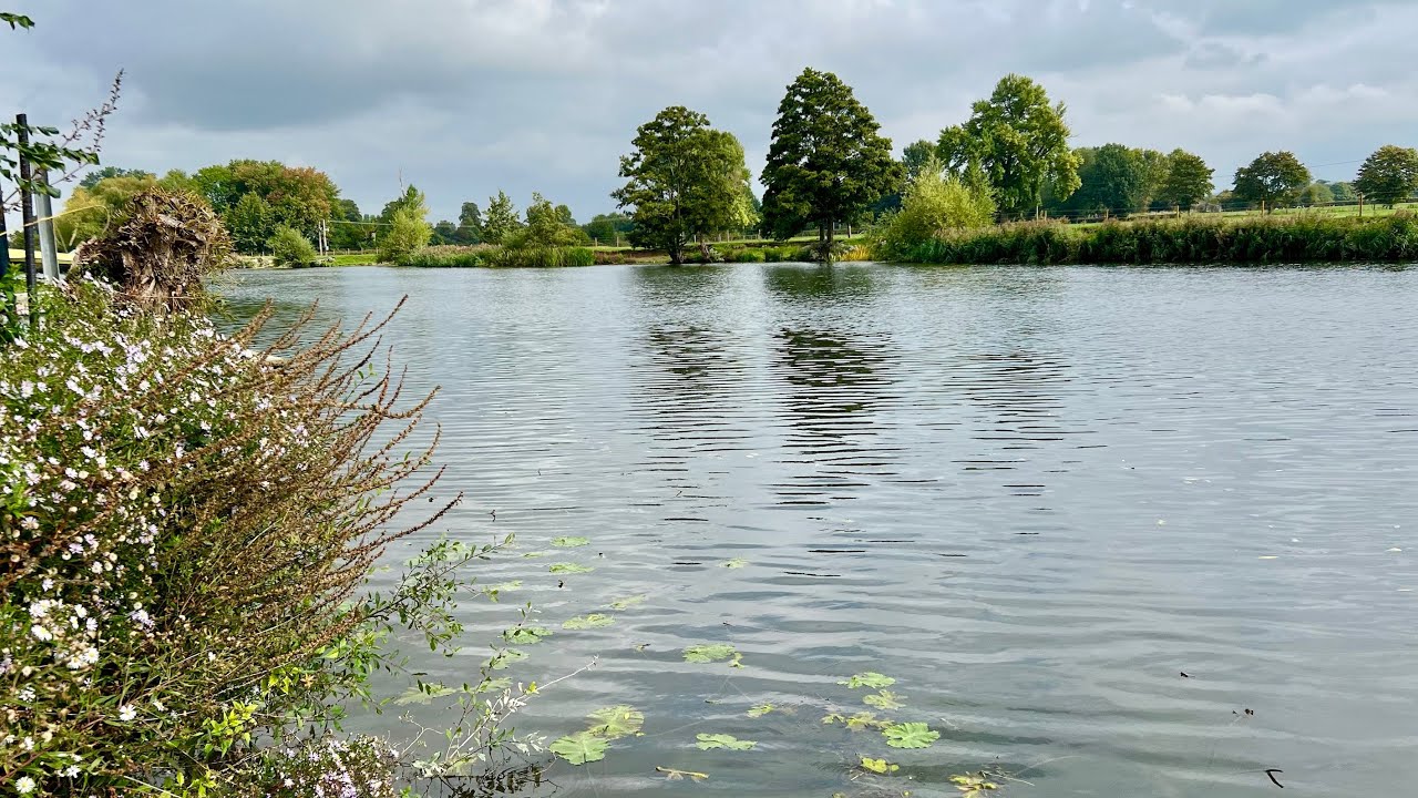 Wallingford Regatta - Dorney Lake 2024
