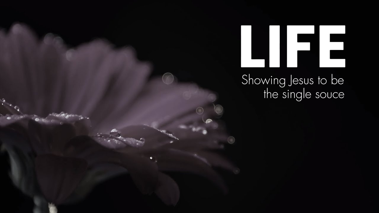 Life | Part 5 | 23 Feb 2025