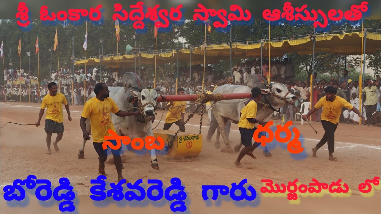 *3.బోరెడ్డి కేశవరెడ్డి,పెద్దకొట్టాల, నంద్యాల జిల్లా(🌱సాంబ & ధర్మ 🌱)...*🦁