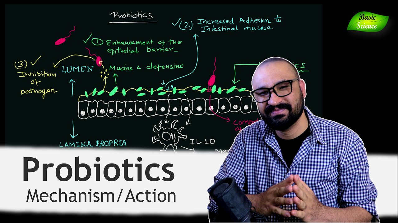How Probiotics work? | Benefits of Probiotics | Gut Microbes | Basic Science Series