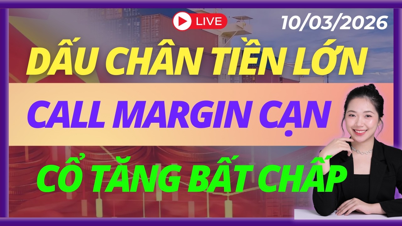 Nghịch Lý Cắt Lỗ, Dầu Sàn Bank Trần, Ngày Tạo Đáy Còn Bao Xa | LIVESTREAM | DAILY