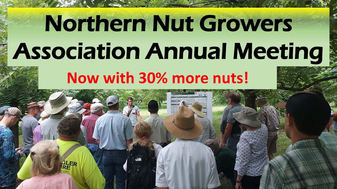 2023 Northern Nut Growers Association Conference Recap: In a Nutshell
