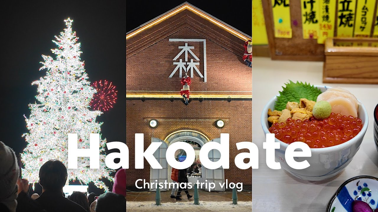 Winter in Hokkaido ❄️ 3-Day Christmas Trip to Hakodate 🎄 Japan VLOG 📸