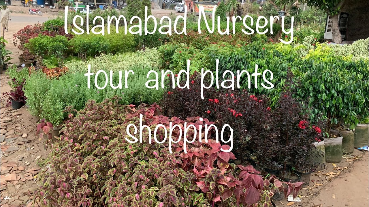 Islamabad Nursery Tour and plant shopping